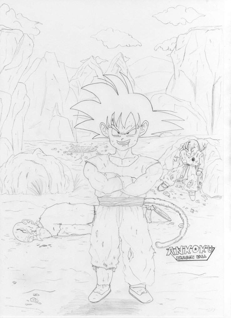 Kakarotto VS Kame Sennin 720090915165123