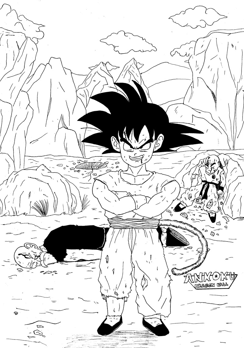 Kakarotto VS Kame Sennin 720091109174647